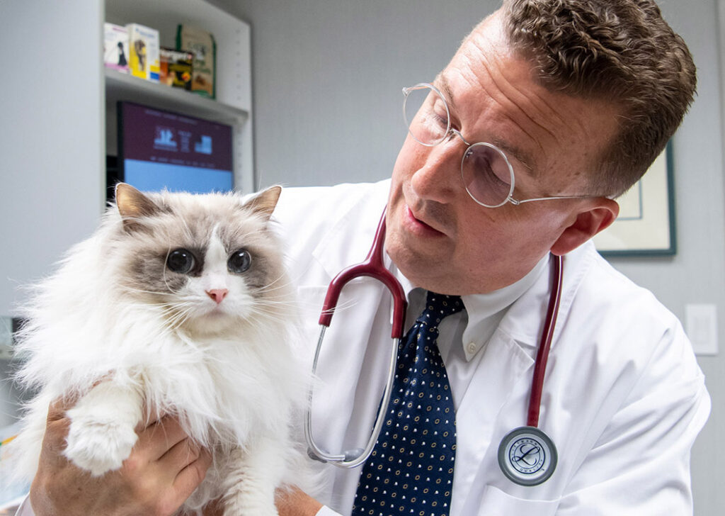 Hershey vet photo